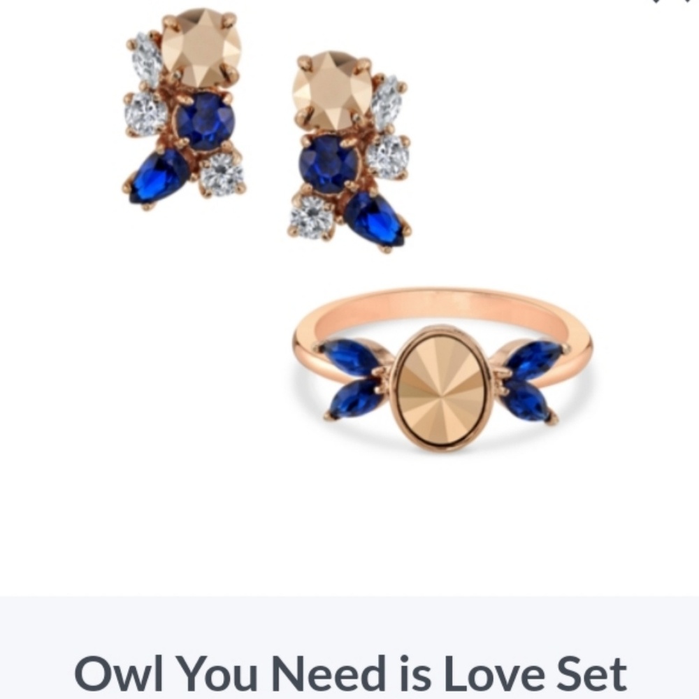 "Owl You Need Is Love" ring and earrings set